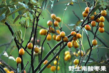 hy3380cc海洋之神(Macau)股份有限公司-Official website