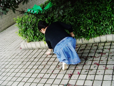 20131225114231665