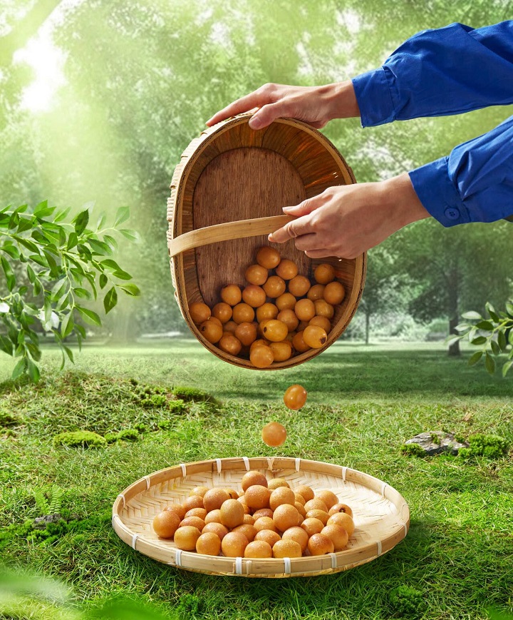 暑假零食柜的新主角：：深山南酸枣糕里的安心??02.jpg